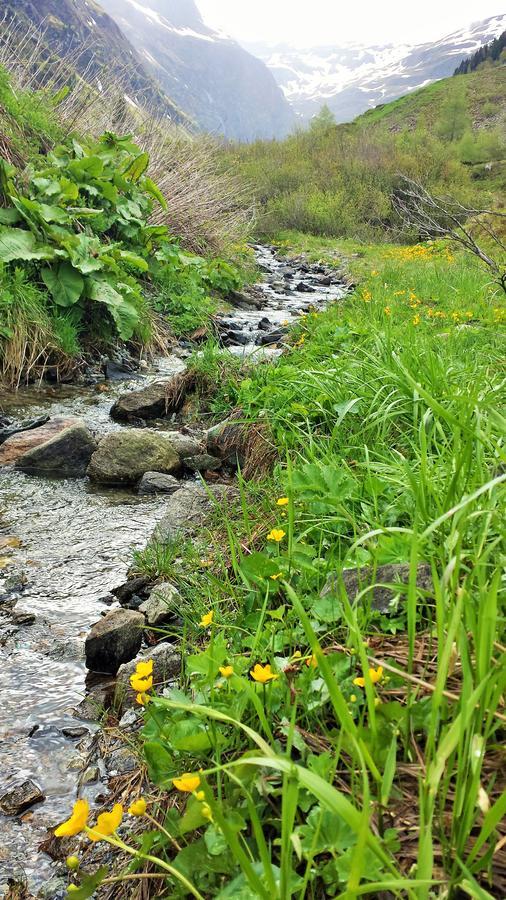 Fruehstueckpension Larson Bad Hofgastein Kültér fotó